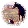 Pferd
