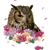 Eagle owl