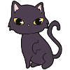 Black cat