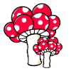 Schwarzwaldpilz