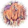 Cheval