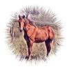 Pferd