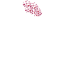 Heste Ridning Ordsprog Citater Heste Girls Horse