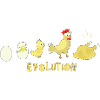 Evolution Egg Pollo Arrosto Pollo Barbecue