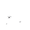 anarchie