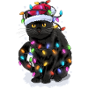 Katze Nikolausmütze Lichterkette