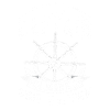 Bateau capitaine Pontoon bateau
