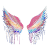 Wings,angelwings, angel wings