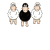 Sheep Sheep Be different Gift