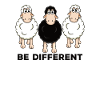 Sheep Sheep Be different Gift