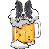 Bier border collie