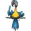 Chatty Parrot Design