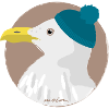 Möwe blaue Mütze | moin