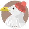 Möwe rote Mütze | moin