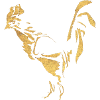 Rooster - Ink / Gold