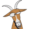 Goat crazy stupid
