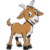 Goat complain smile