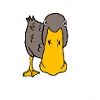 Anatidaephobie