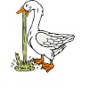 Gans übel