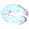 Lips 3D Kiss