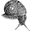 Weinbergscnnecke (DPP, Lineart)