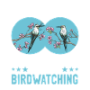 Bird Watching Birding