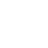 MADE IN SWITZERLAND