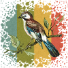 Bunter Vogel