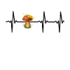 Mushrooms collect mushrooms