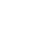 Neuron