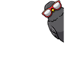 Blackbird Bird Black Thrush