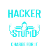 Cybersecurity Computer Hacking Ethical Hacker
