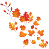Bunte Herbst Blätter