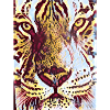 Eye of the Tiger