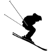 Skier