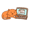 Programmeur-chat-humour pour coder et