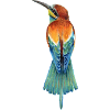 Bee-eater