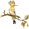 Bunter Vogel