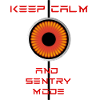Keep Calm and Sentrymode Tesla