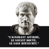 Aristote