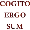 Cogito Ergo Sum