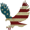 Bald Eagle America