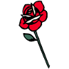 rose flower old school design