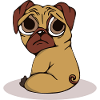 Pug Dog Pet
