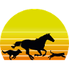 Dog Horse Cat Sun