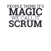 "Scrum Master Magic | "Scrum Master""