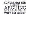 "Scrum Master Arguing | " Scrum Master""