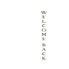 Welcome Back Patriot Flag