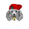 Poodle