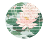 Nénuphar japonais